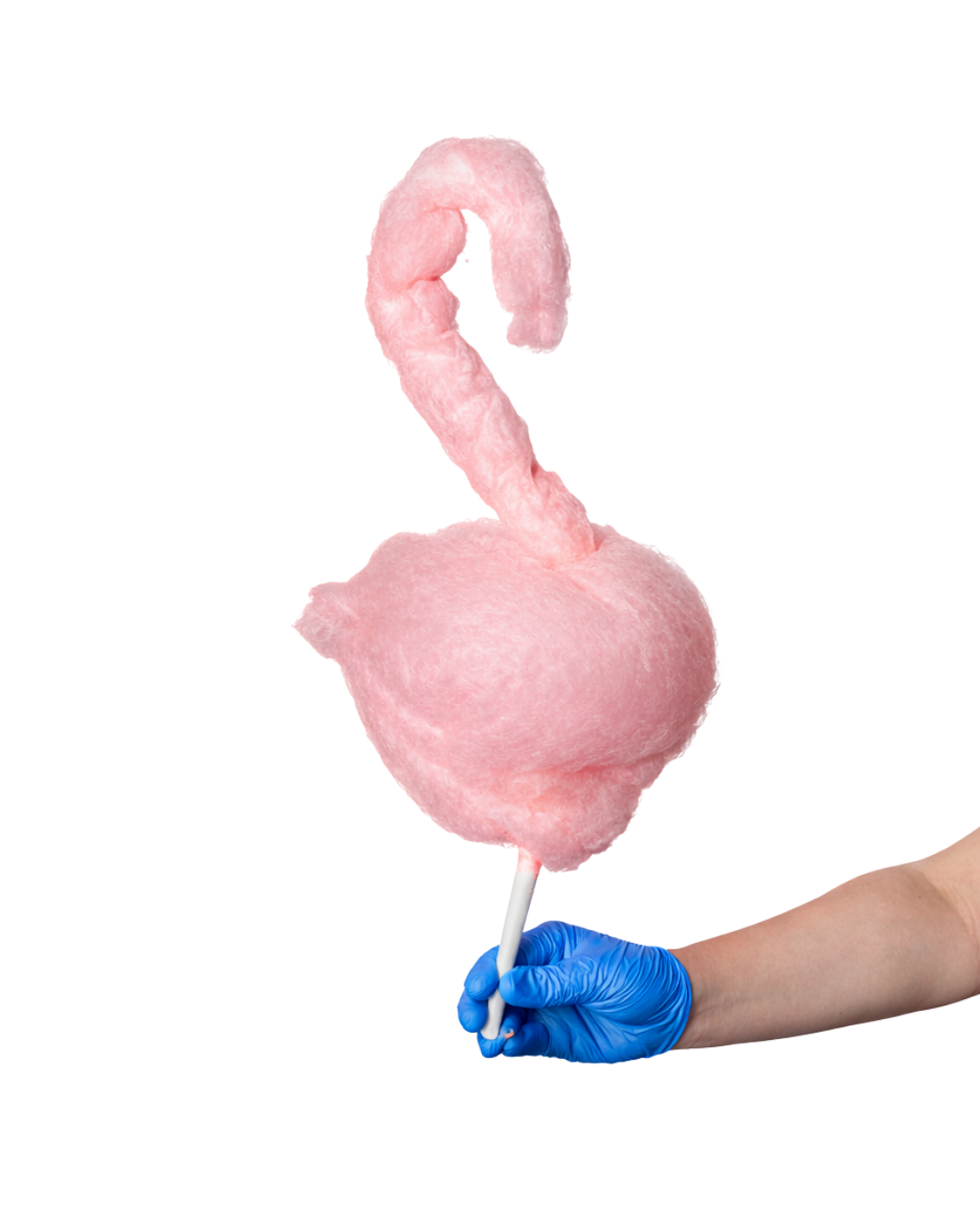 FlamingoShape (1).png