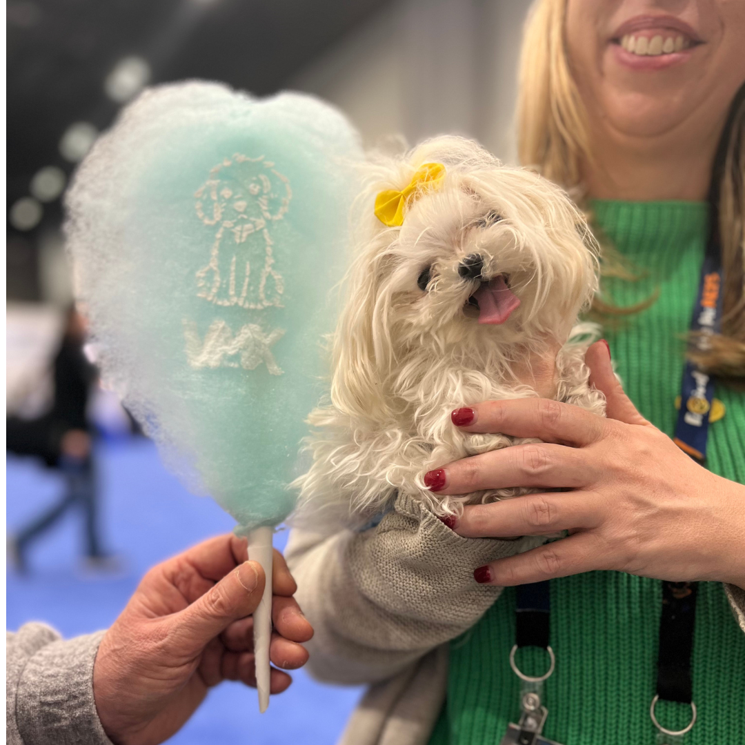 VMX attendee holding a small dog beside blue cotton candy printed with a dog illustration at the Orange County Convention Center