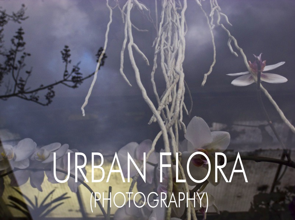 URBAN FLORA.jpg