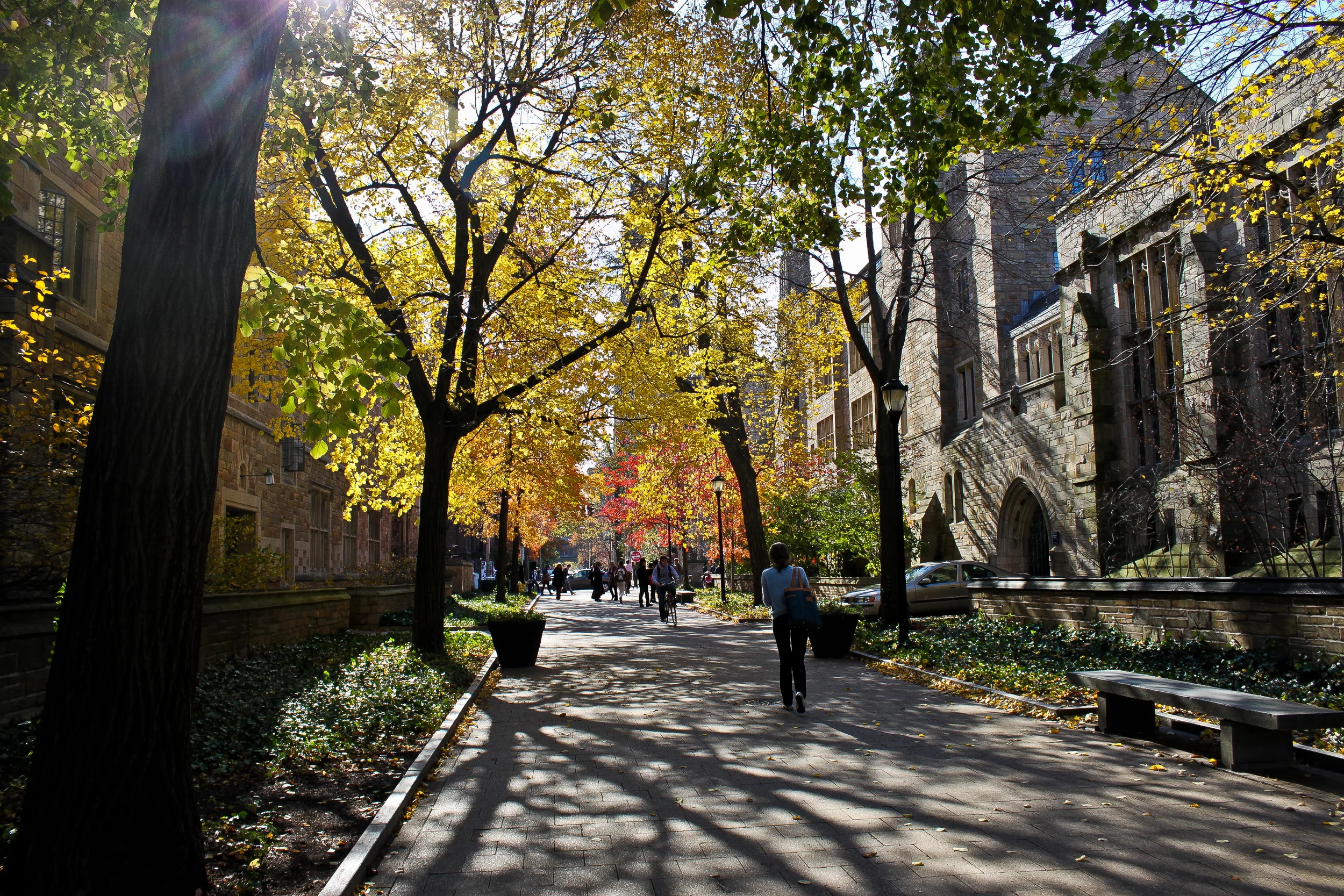 Yale_University_Cross_Campus_2.jpg