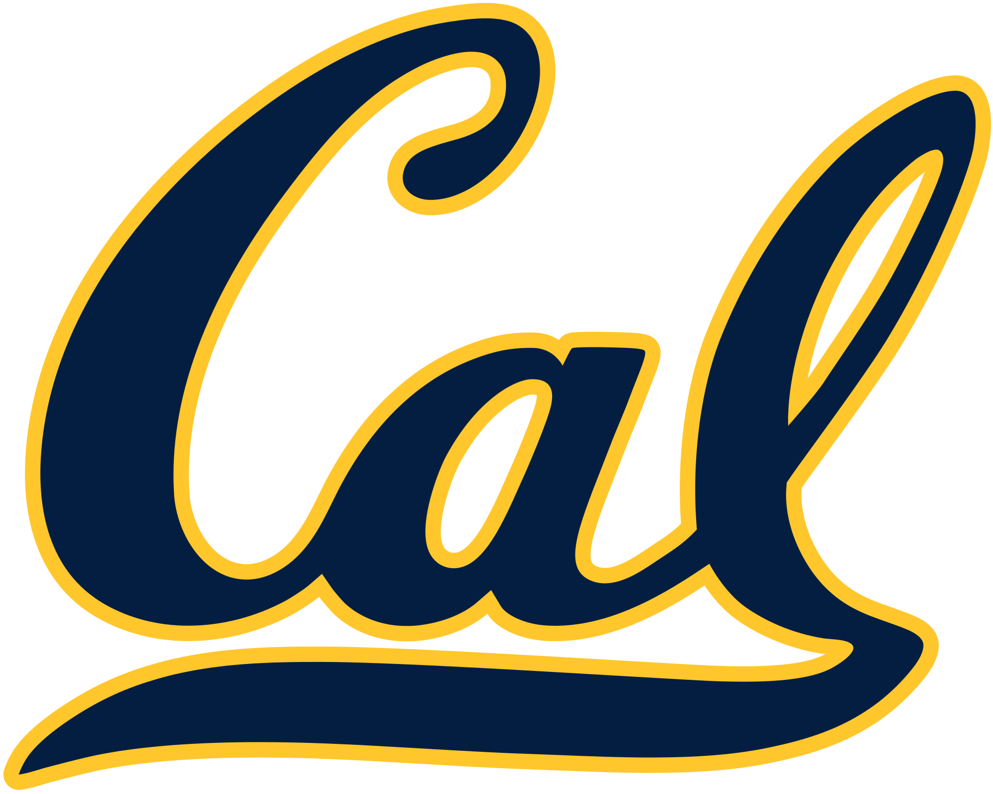 Logo-Berkeley.png