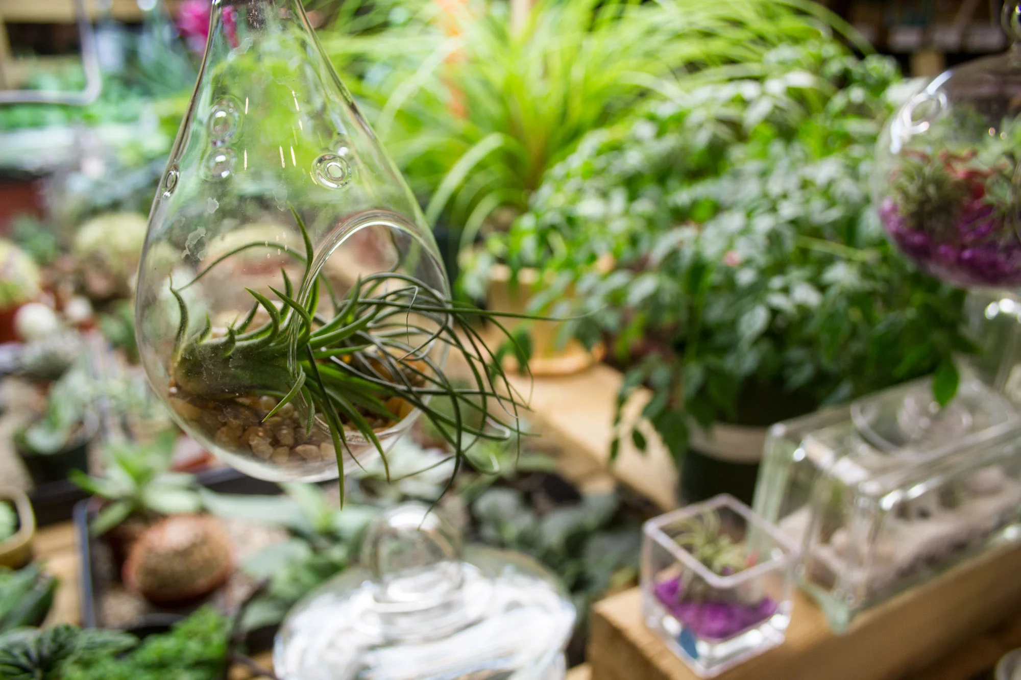 glass-container.jpg
