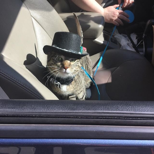 Curbside pick up is endorsed by a cat in a hat!