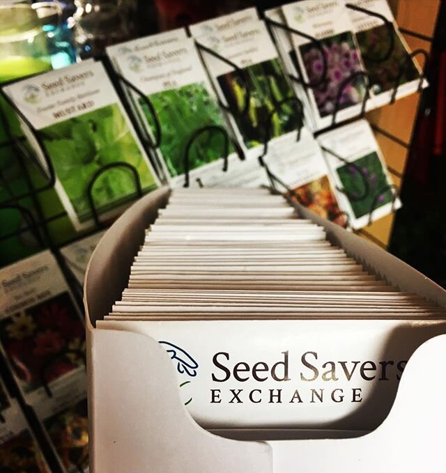 Seed deliveries are always exciting, but they are especially inspiring these days #planthope #seedsaversexchange #seedsfordays #toplantagardenistobelieveintomorrow #hoorayforspring #itsnothoardingifitsseeds