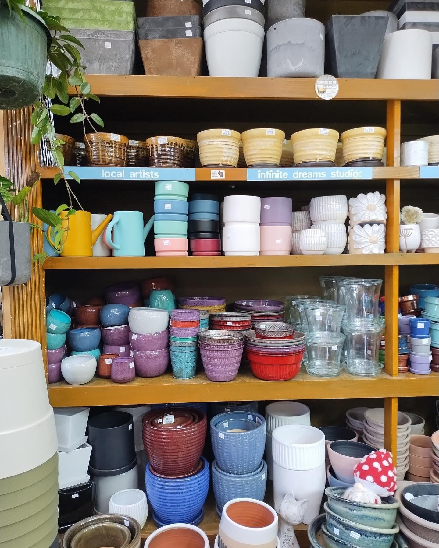 We have so many great pots in stock right now. Come get some new digs for your house plants before we all get distracted spending all our time outdoors next month. #potsareplantspants #plantpot #toomanychoices #iwantoneofeverything #timetorepot #hous