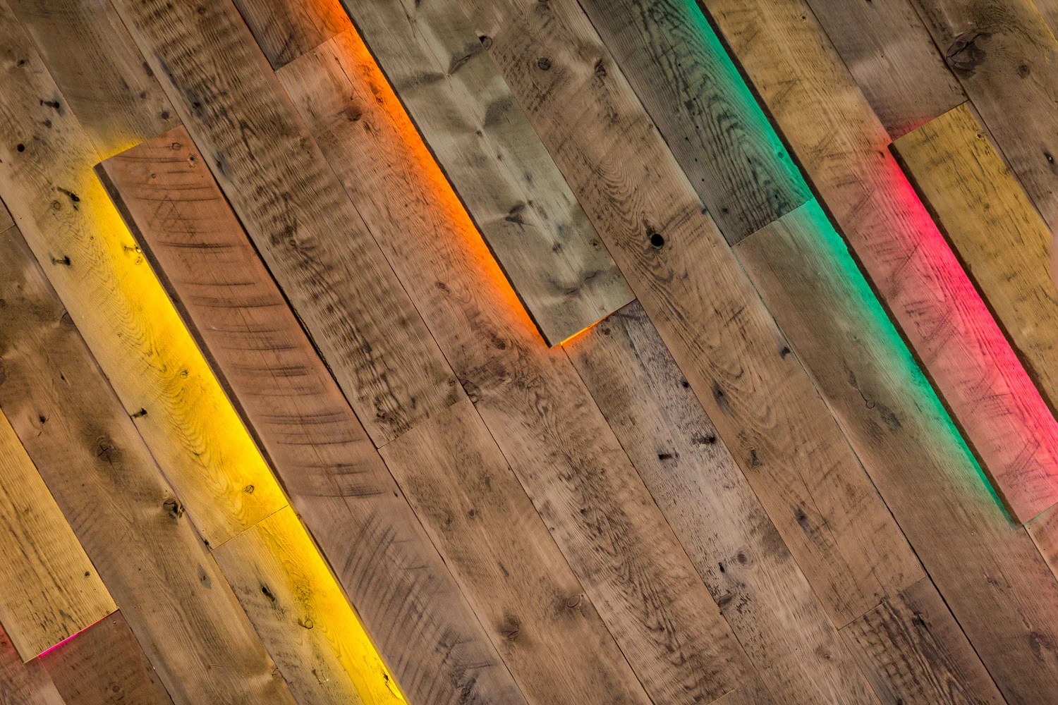 nandos-35.jpg