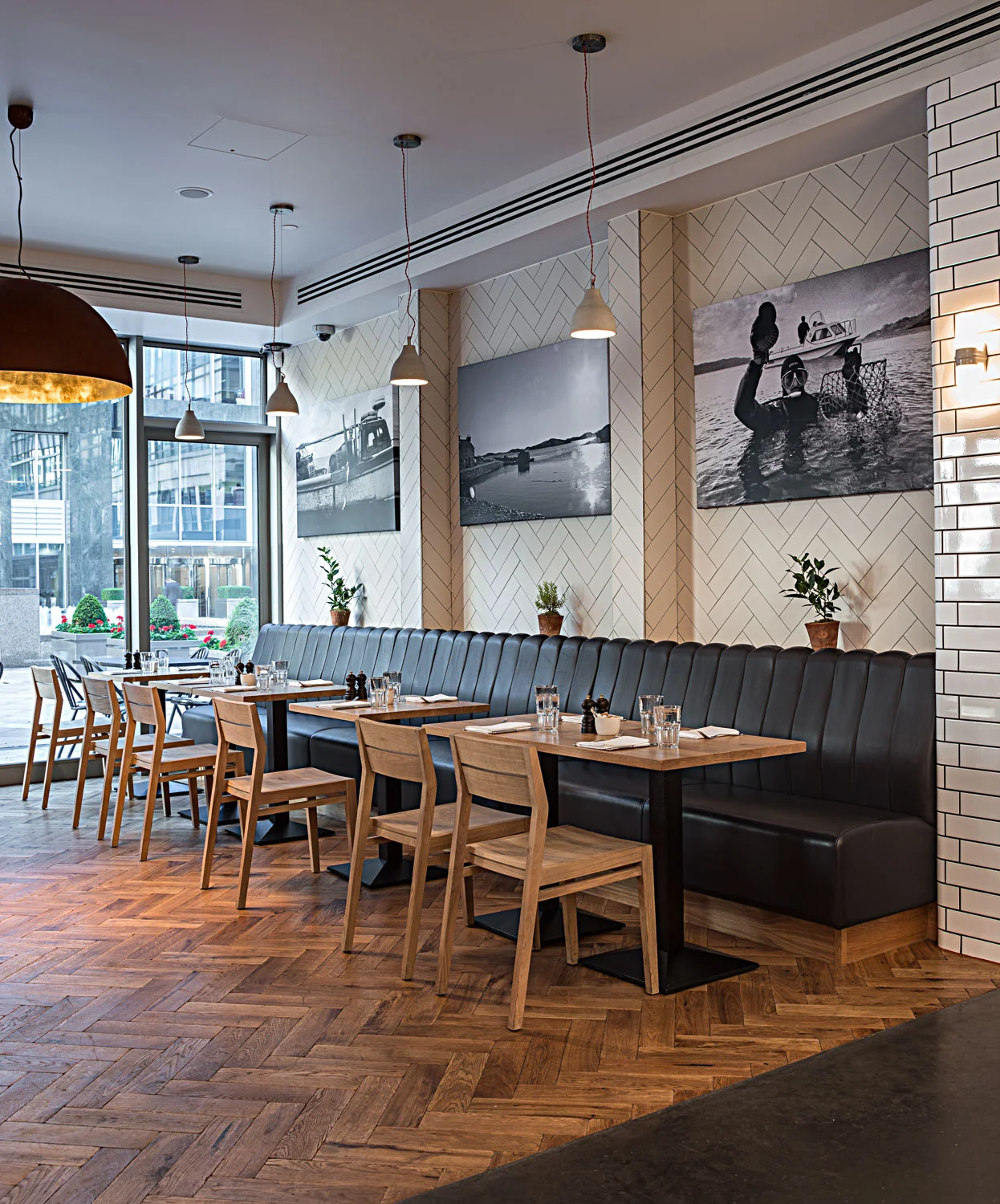 MBATomAikens8134889-Edit.jpg