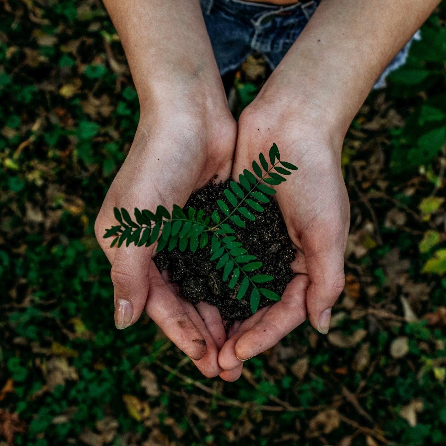 &ldquo;His purposes will ripen fast,
Unfolding every hour;
The bud may have a bitter taste,
But sweet will be the flower.&rdquo;
- excerpt from God Moves in a Mysterious Way by William Cowper

It&rsquo;s day 14 of the #magicandmoonschallenge and we l