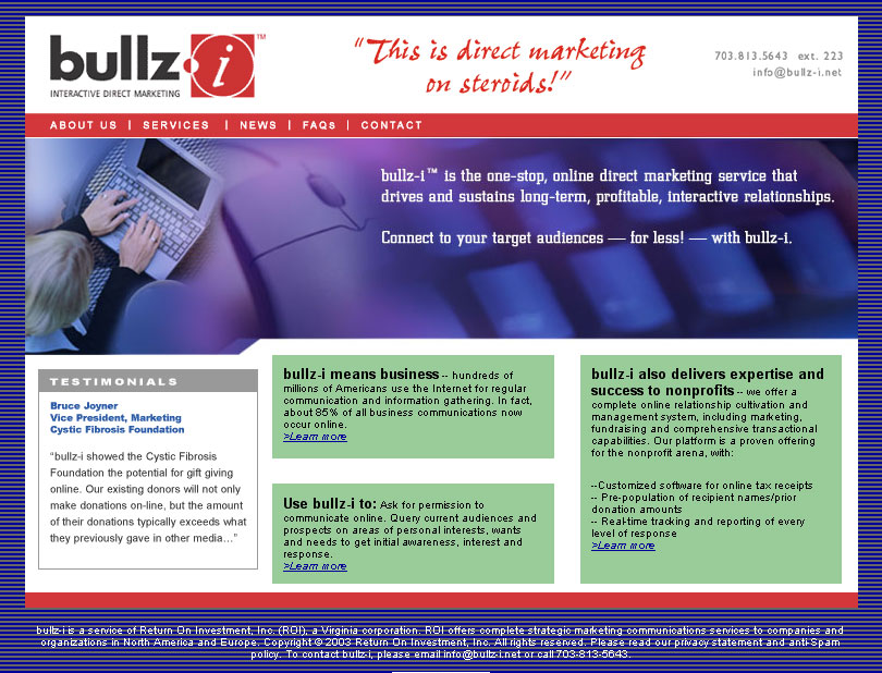 bullz-i Website and Logo Design (E-Marketing Company)
