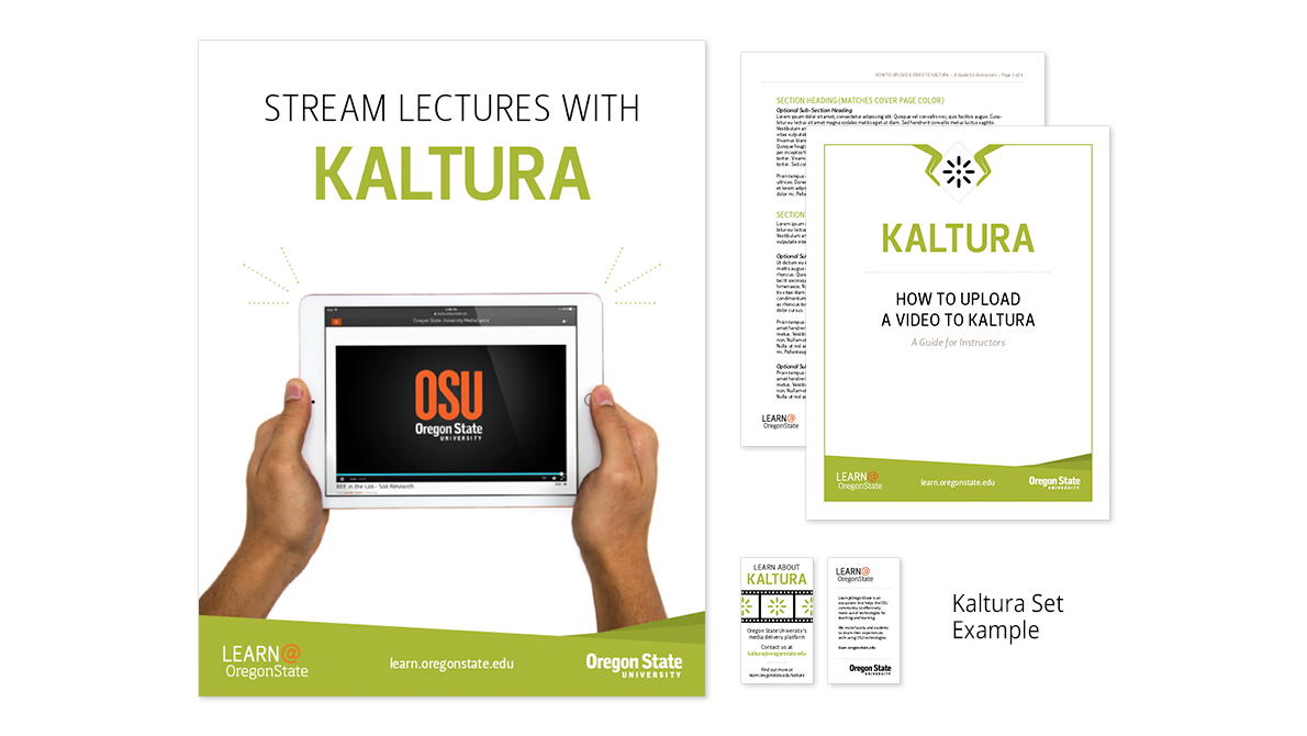 LearnExamples2-Kaltura.png