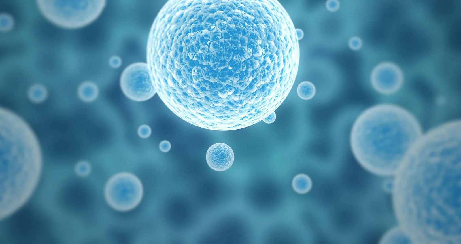 stem-cells.jpg