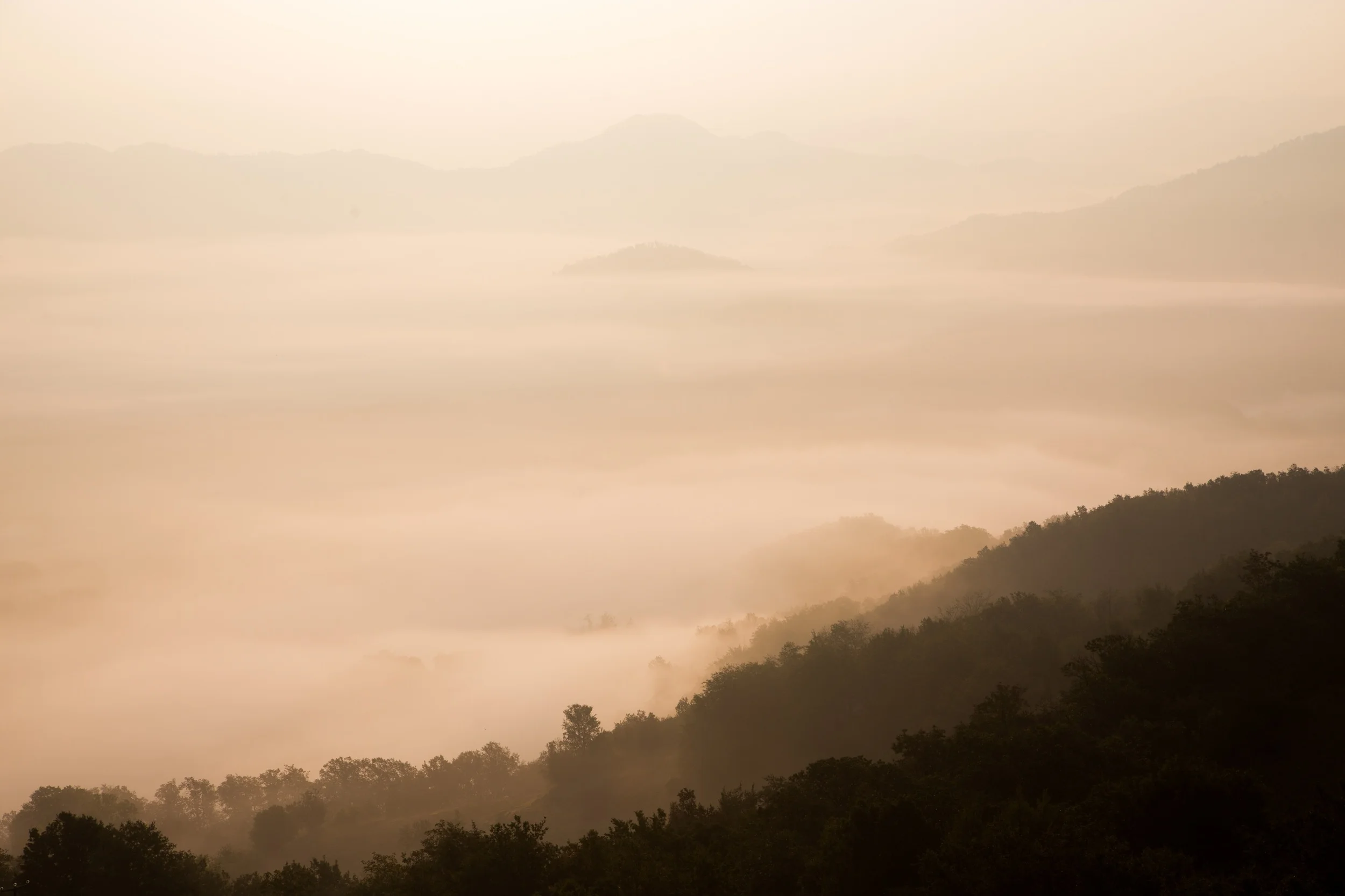 Photo by Francesco Gallarotti via unsplash.com
