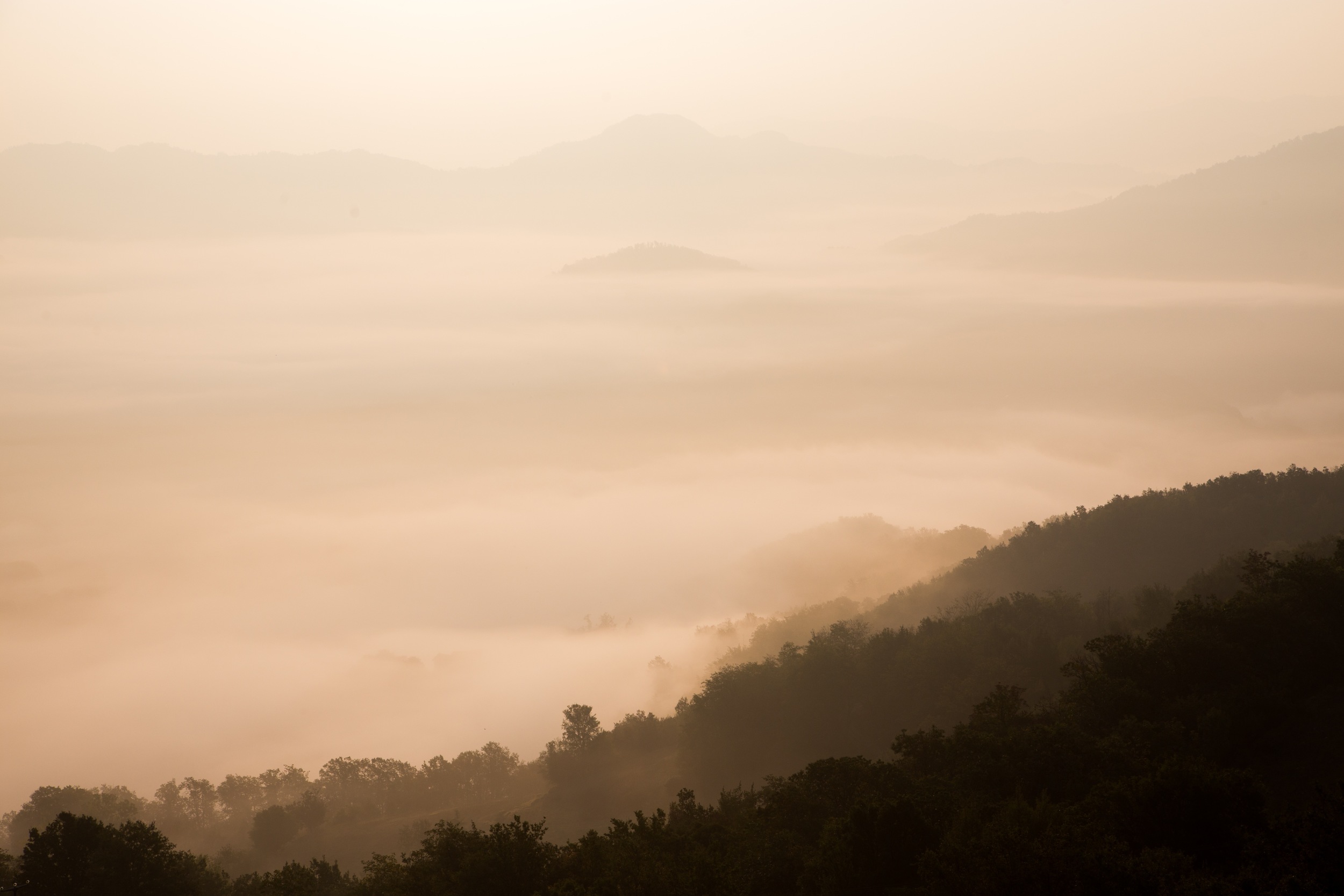 Photo by Francesco Gallarotti via unsplash.com