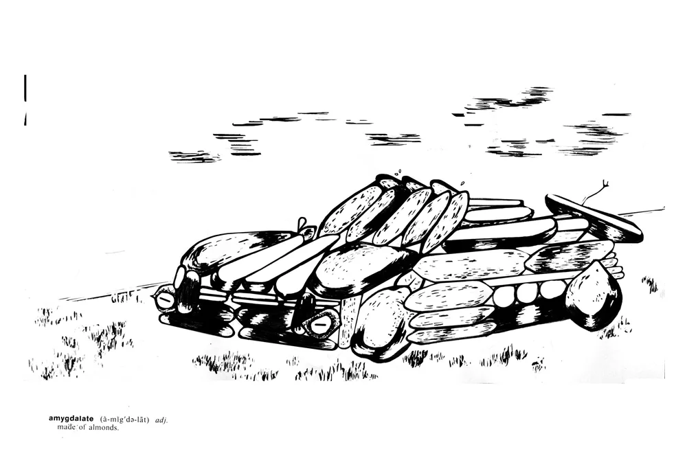 leahhorowitz_almondcar_web.jpg