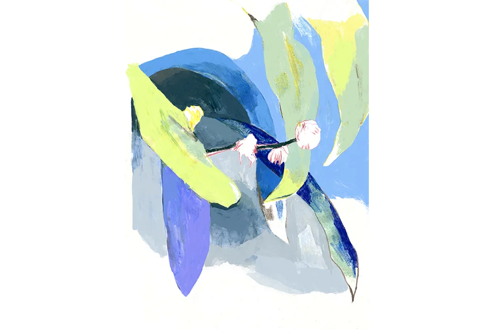 Tropical Plants