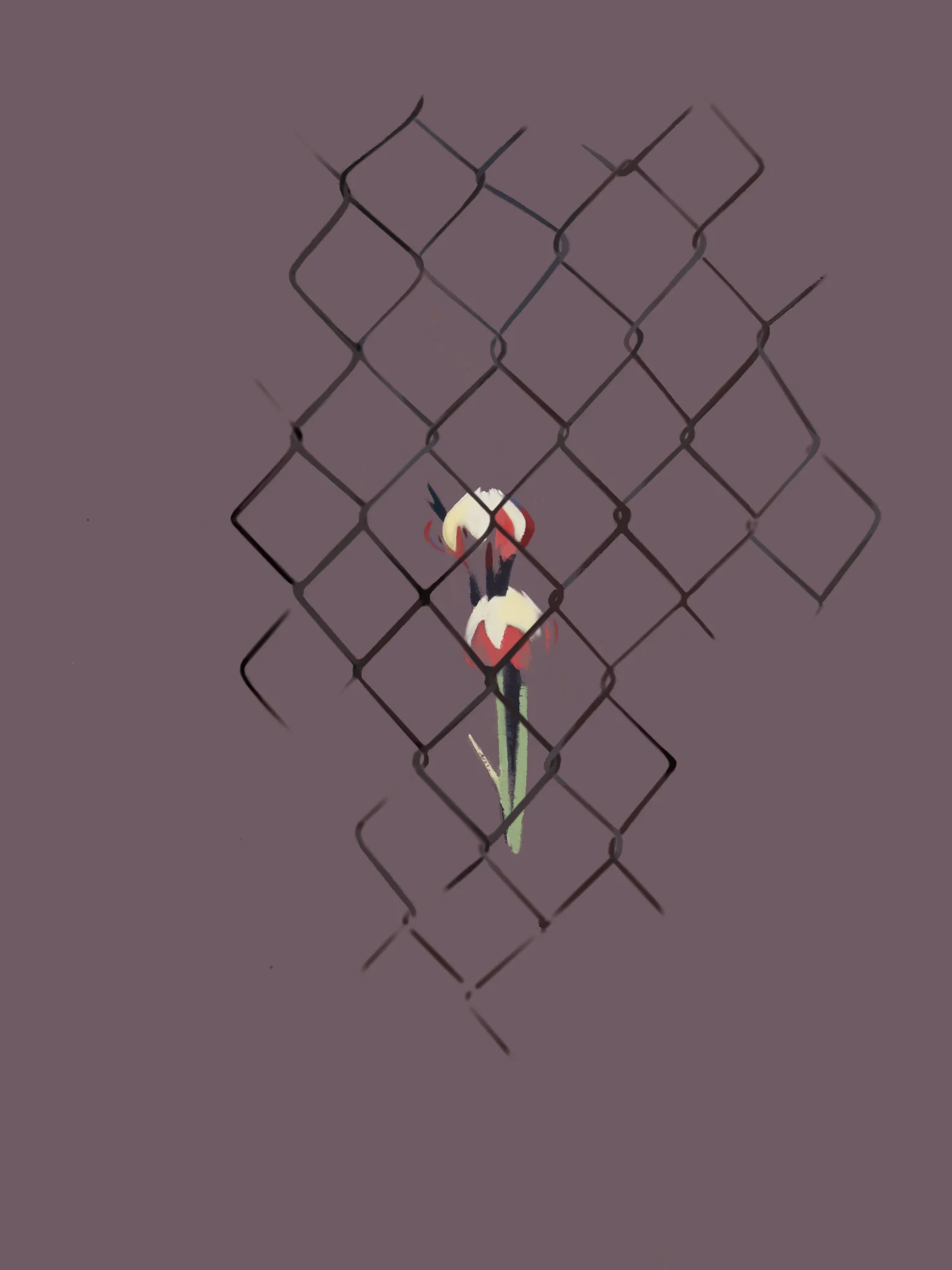 Desert Flowers Behind A Fence