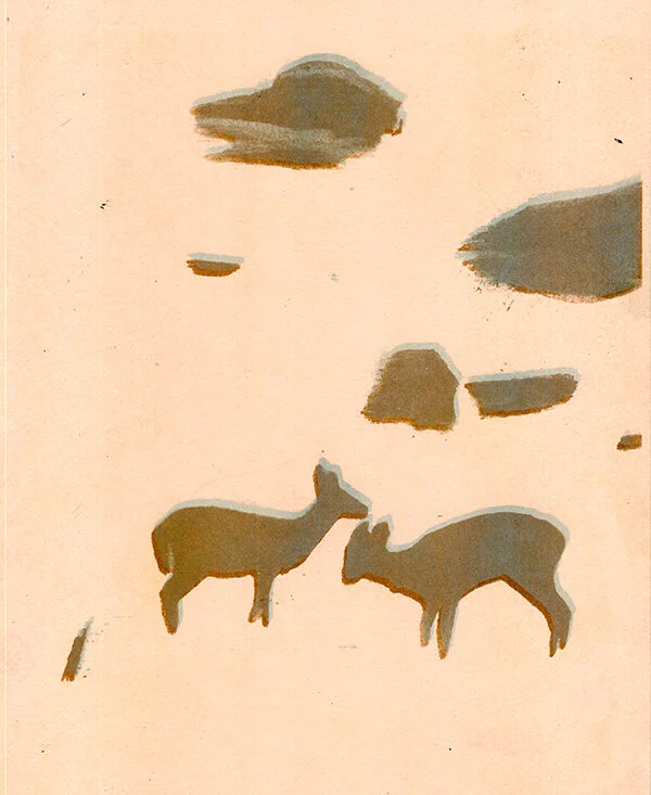 deer6_web.jpg