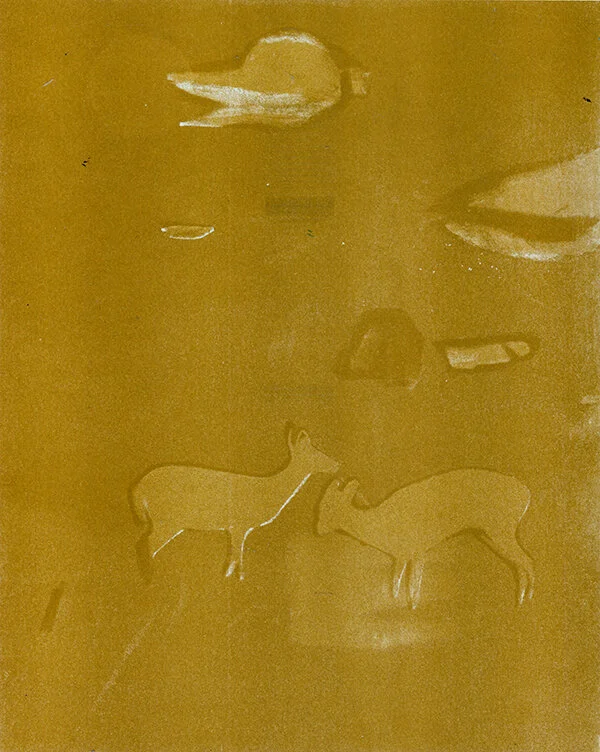 deer7_web.jpg