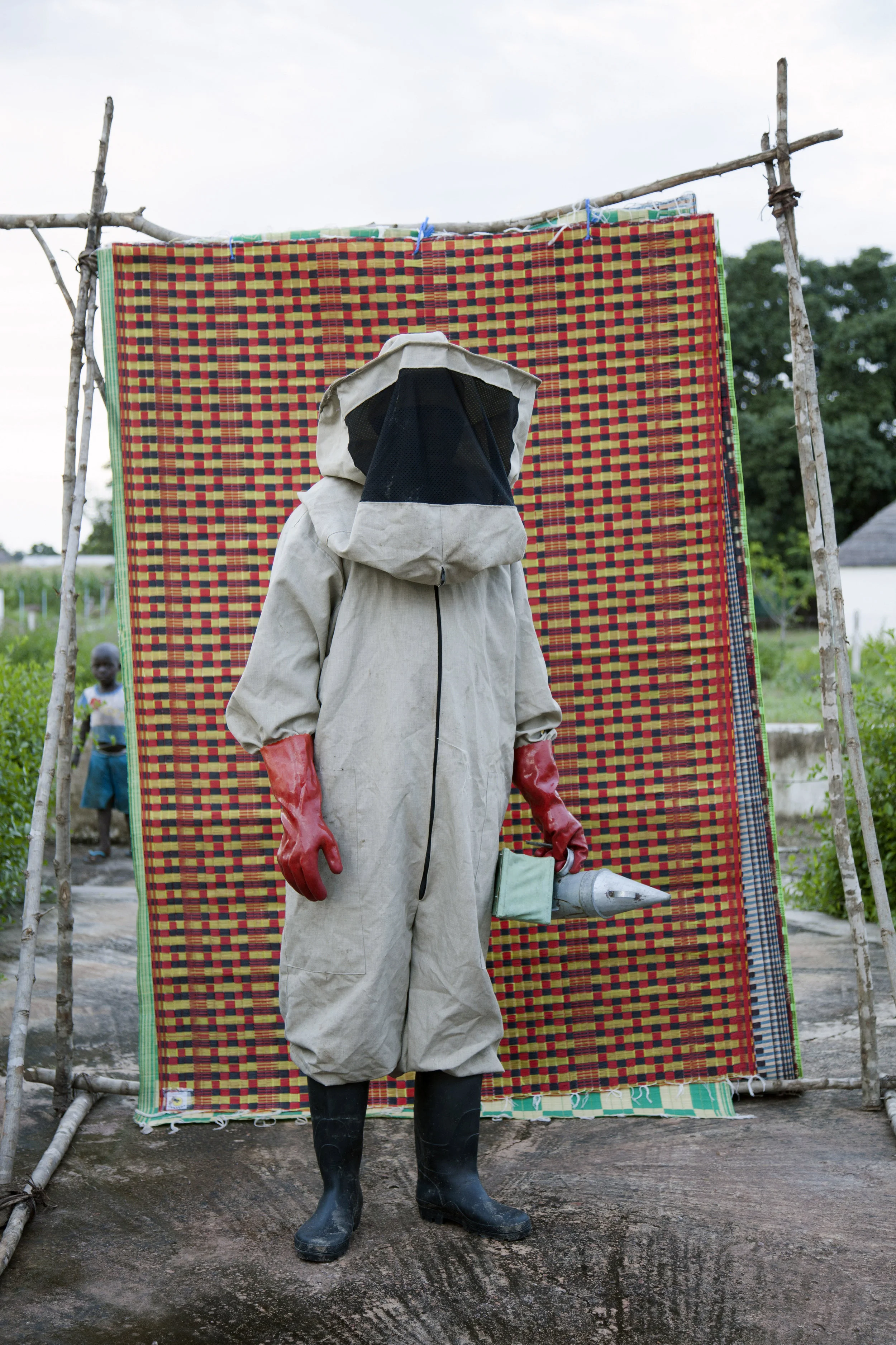 beekeeping_1.jpg