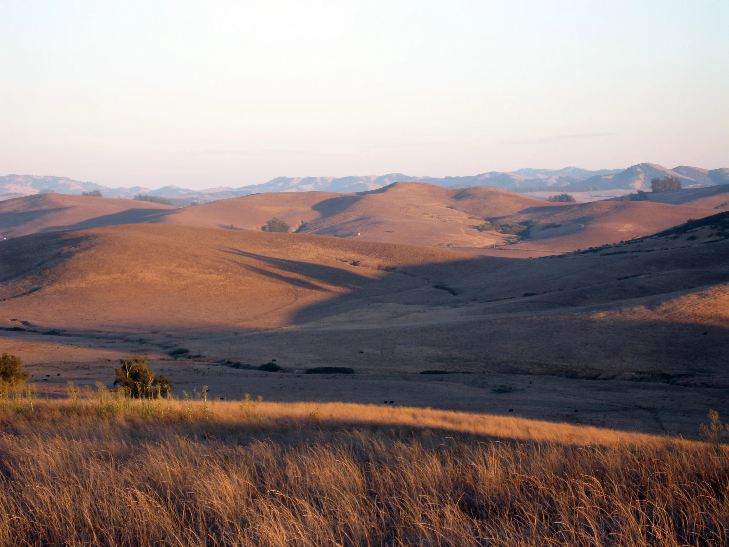  VIEW FROM HOUSE LOOKING SOUTH 