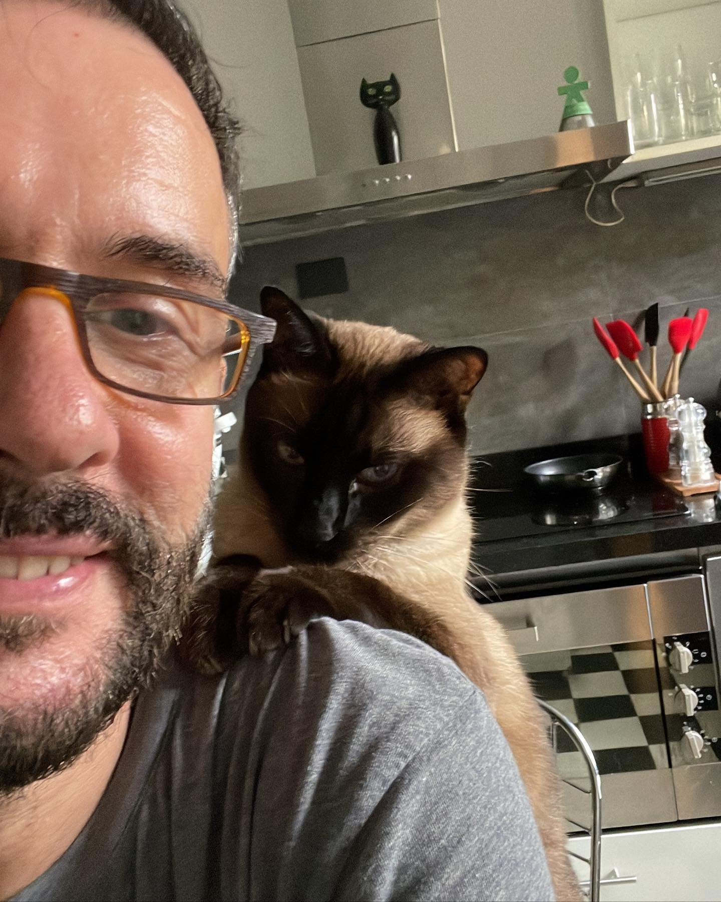 Buen viaje Alfie, no dudo que ya est&aacute;s con Uma 🥰. No se puede describir el vac&iacute;o que dejaste. No fuiste un gato, sino un compa&ntilde;ero de vida, el anfitri&oacute;n Petit Palais, el jefe de la manada. Te extra&ntilde;o. Te quiero tan