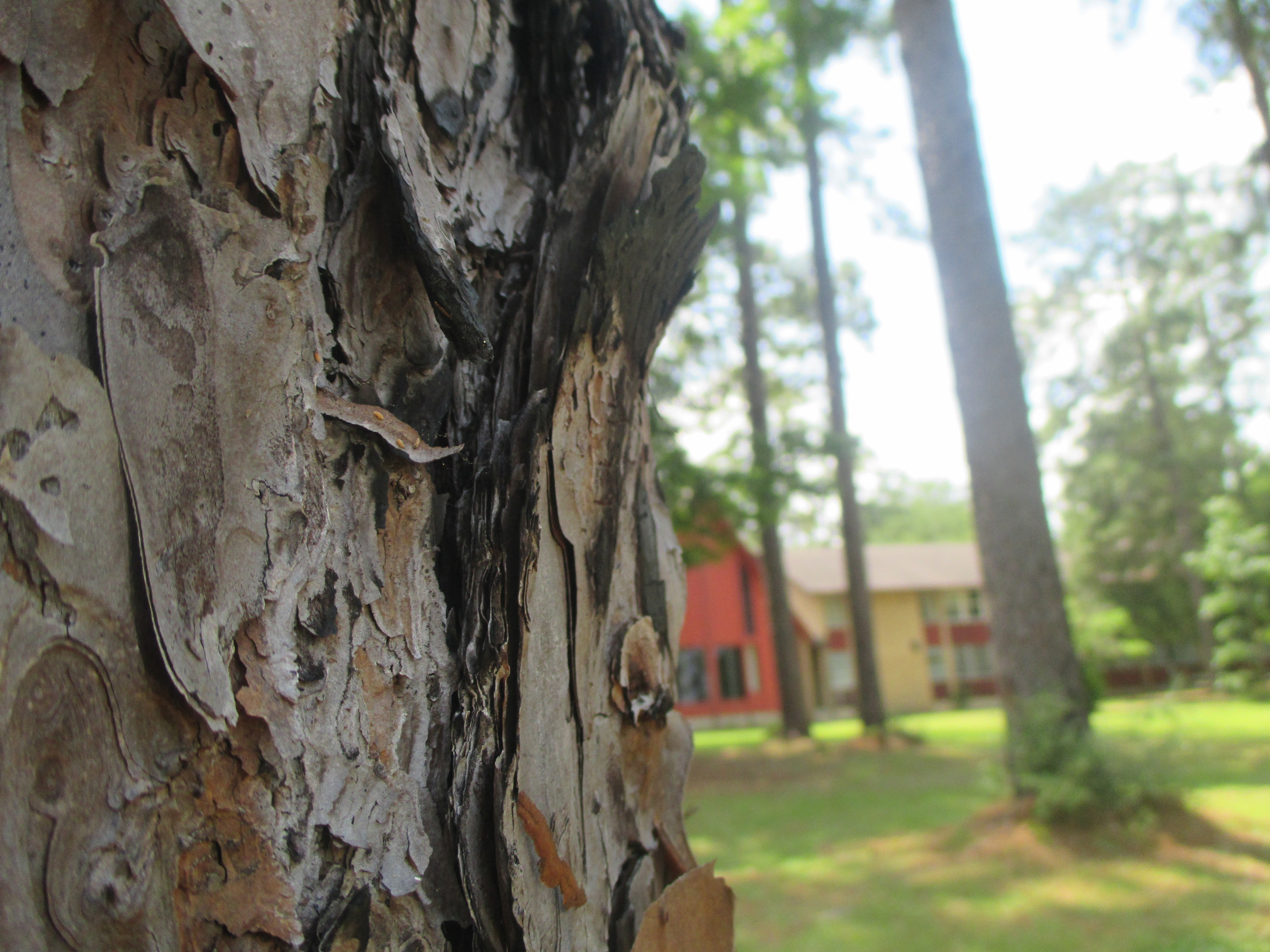 revive_events_camp_1_14-255.jpg