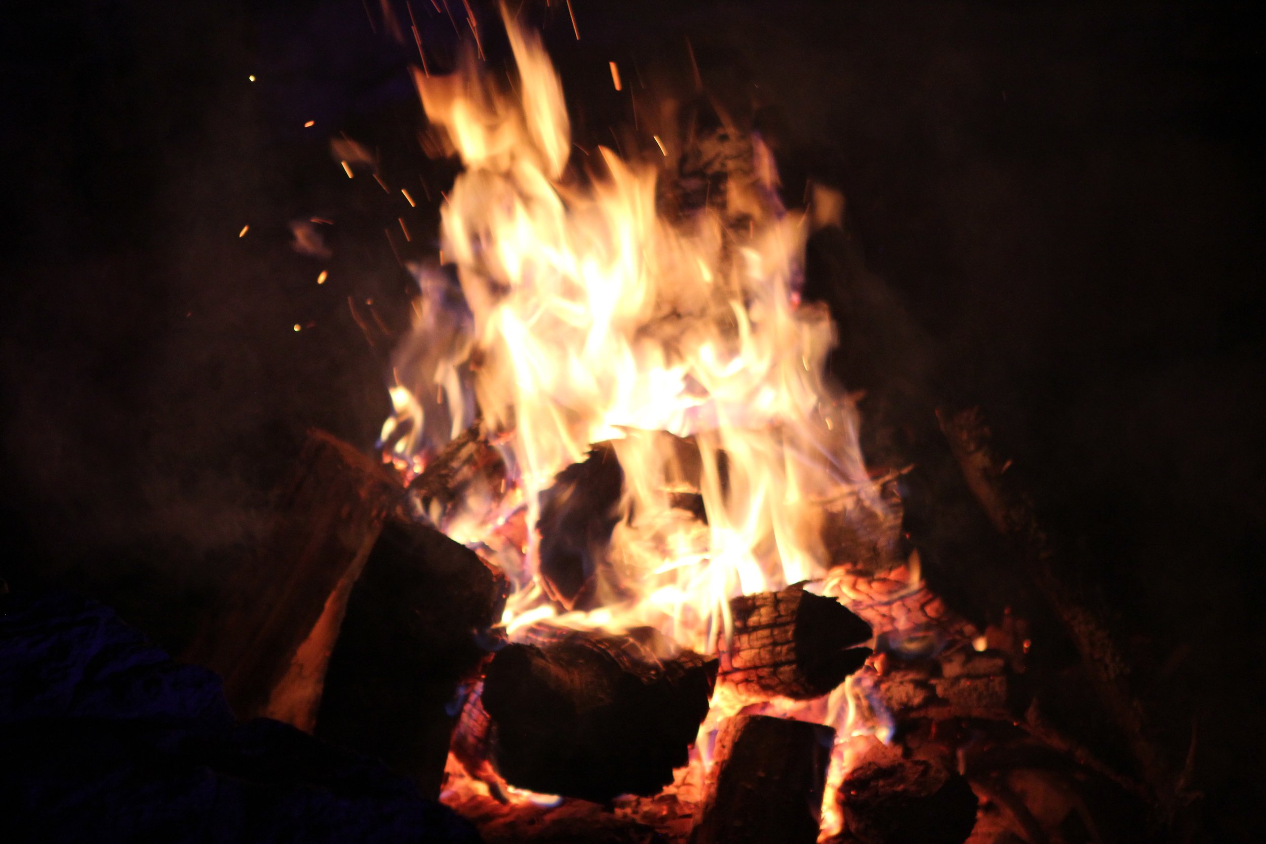 IMG_7324.jpg