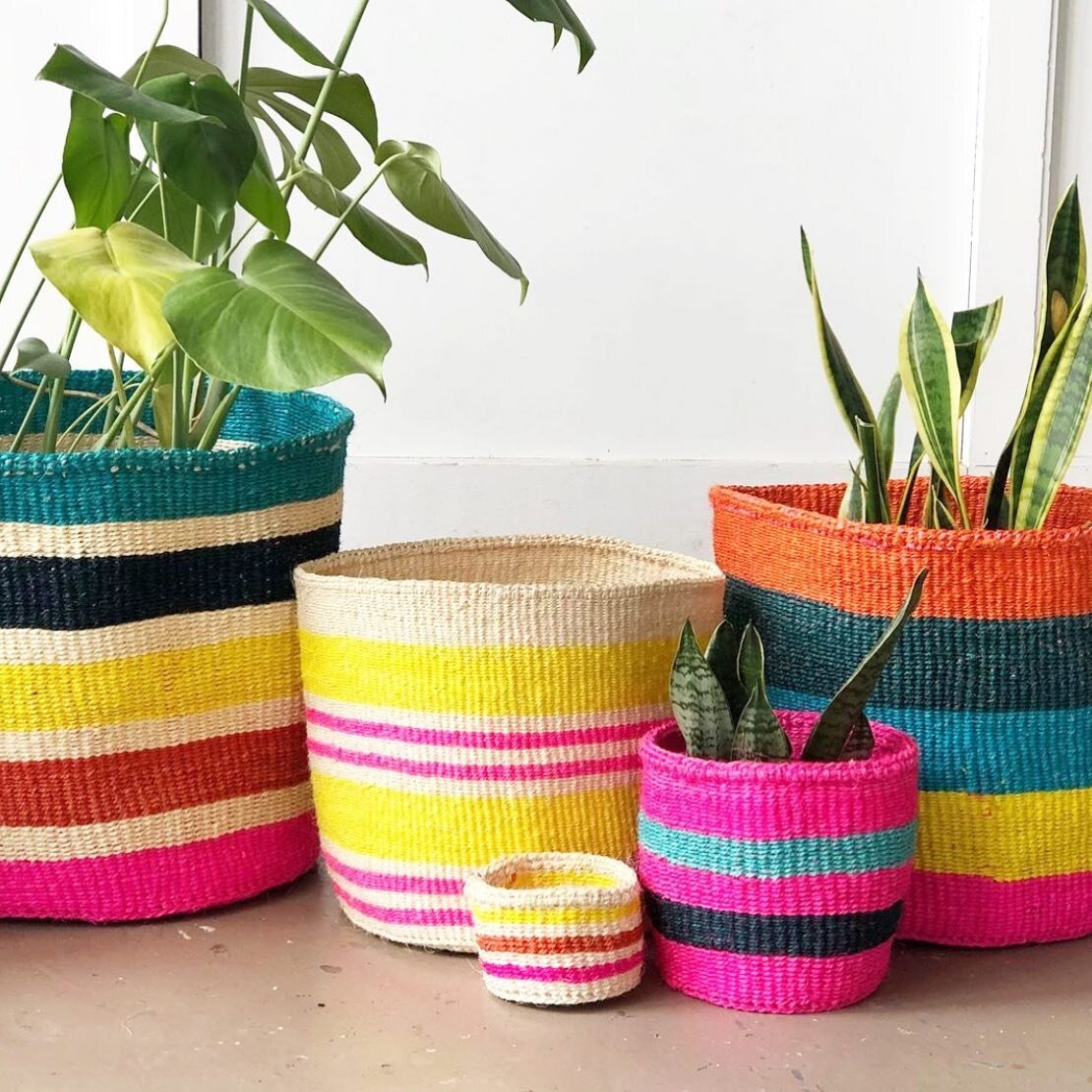 Shop all the bright spring colors 🔻🔹🔸 this Sunday including @amshastudio&rsquo;s very cute baskets 🧺 which act as the perfect FL-EASTER!