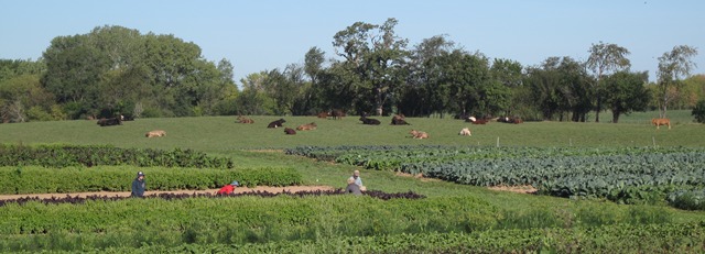 Photo Sourced From: https://www.biodynamics.com/what-is-biodynamics