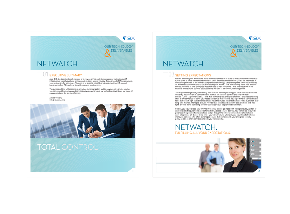 Netwatch Brochure