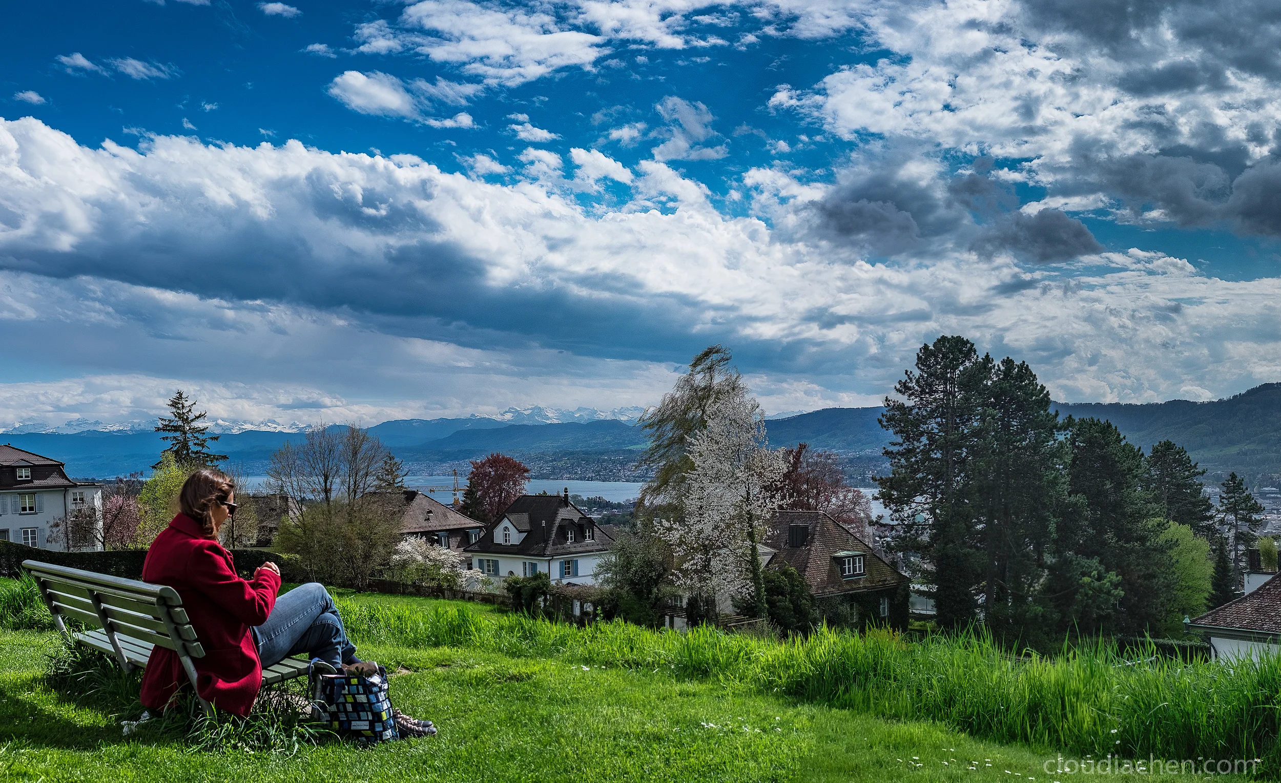 Landscape_DSF7778-Pano-Edit.jpg