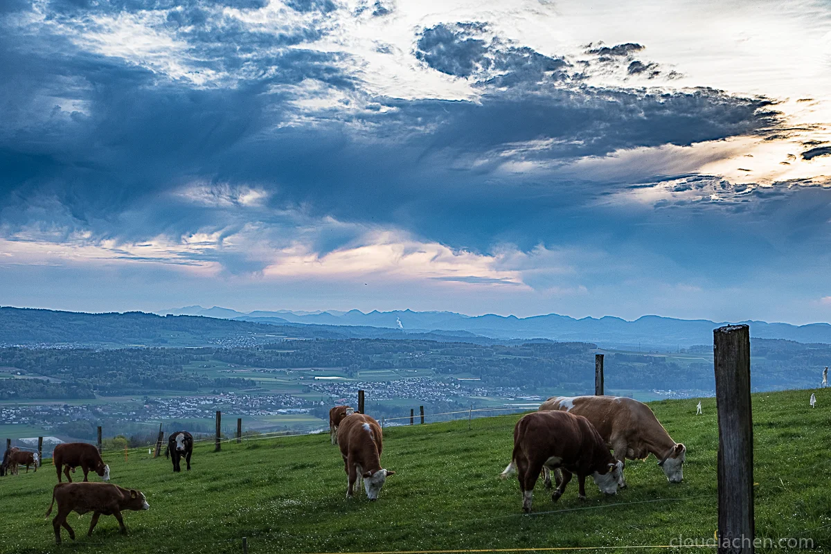 _CH_3361-HDR-Edit.jpg