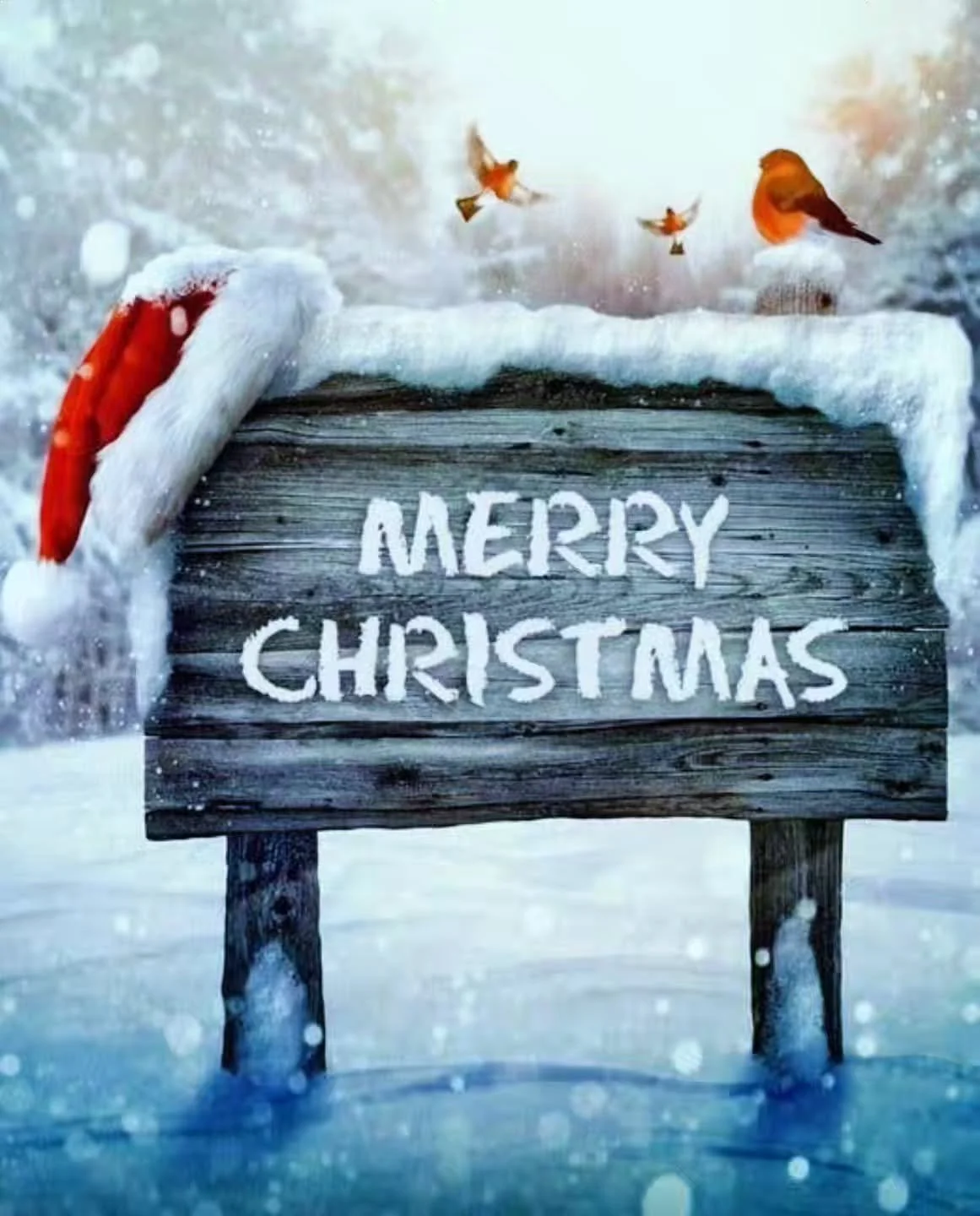 Merry Christmas and happy holidays to all our loyal customers, friends and family! Both our stores will be closed tomorrow and resume normal hours Friday. Have a warm and wonderful Christmas. #shopsmall #merrychristmas🎄 #supportlocalbusiness #holida