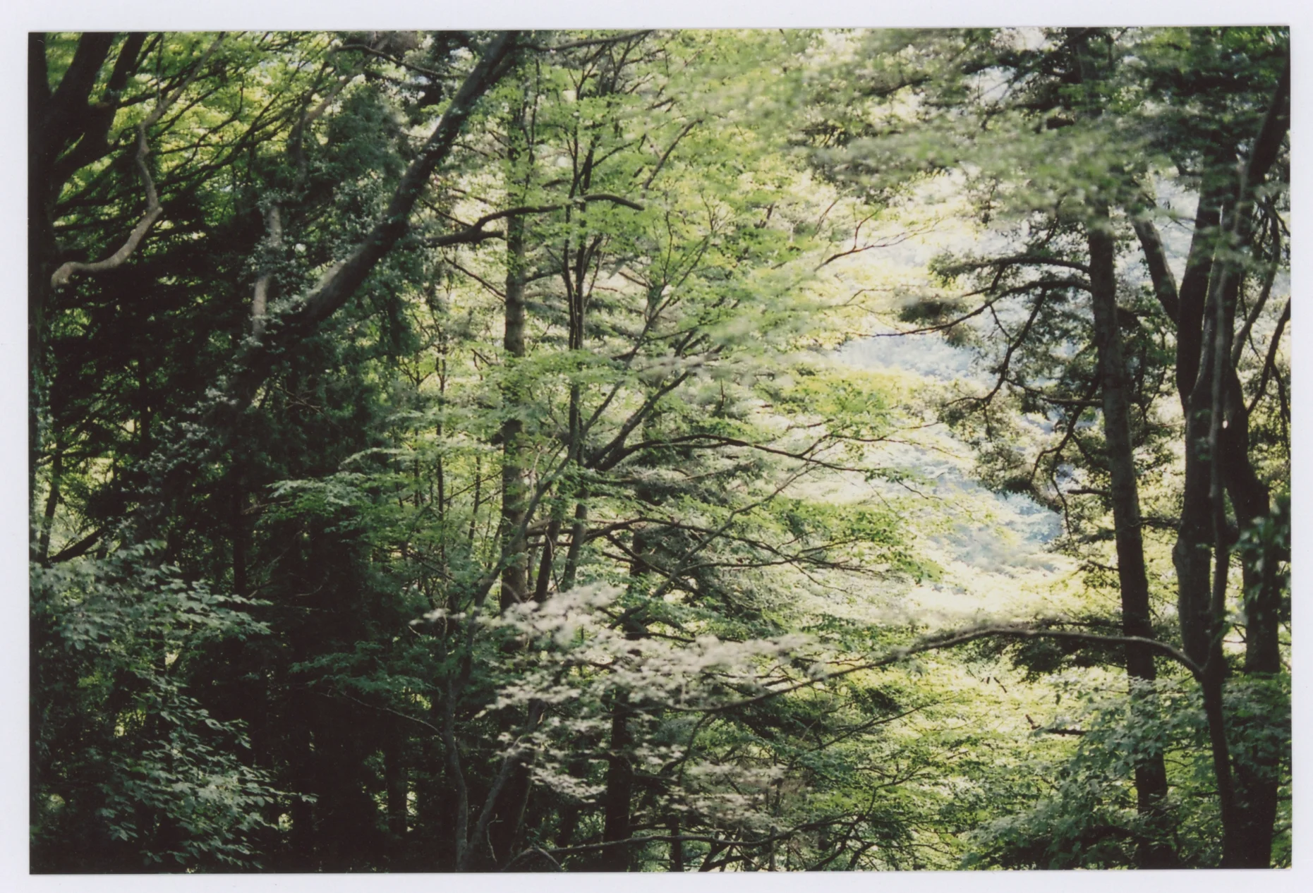 Scans032.jpg