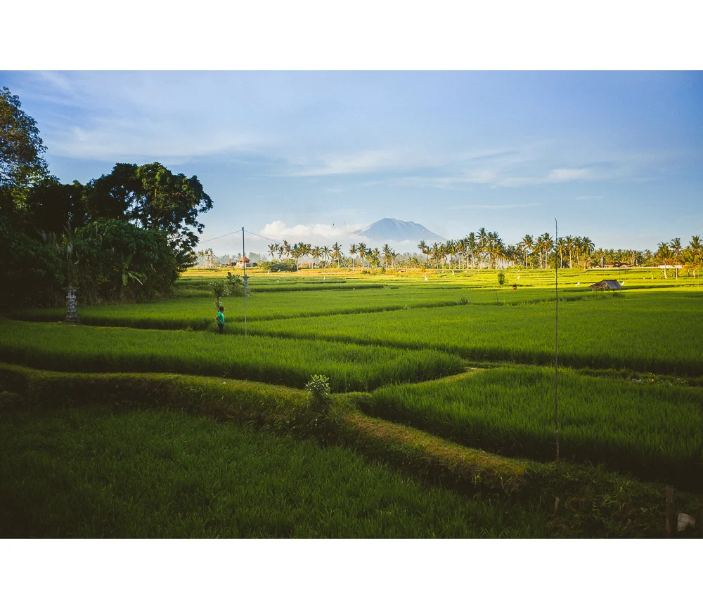 Bali-6.jpg