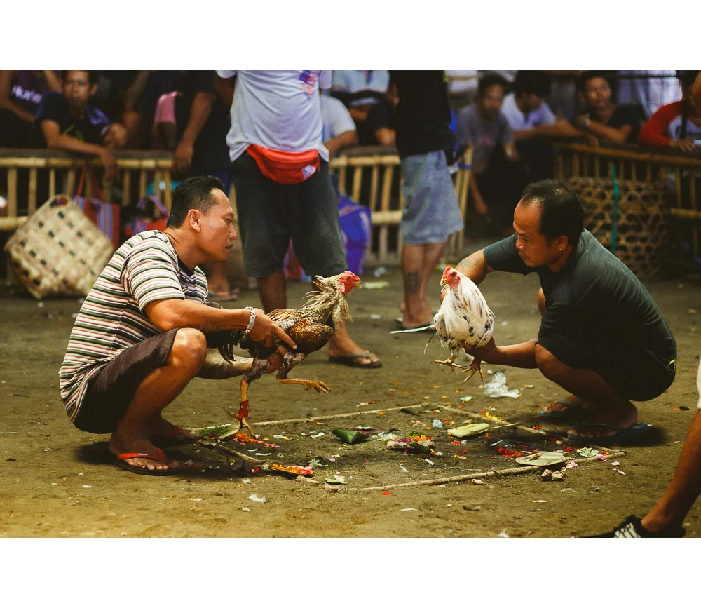 Bali-42.jpg