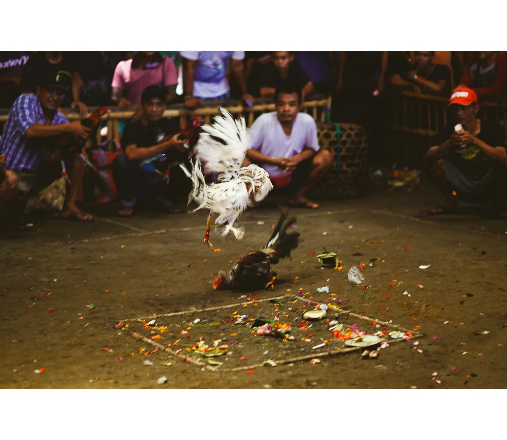 Bali-44.jpg