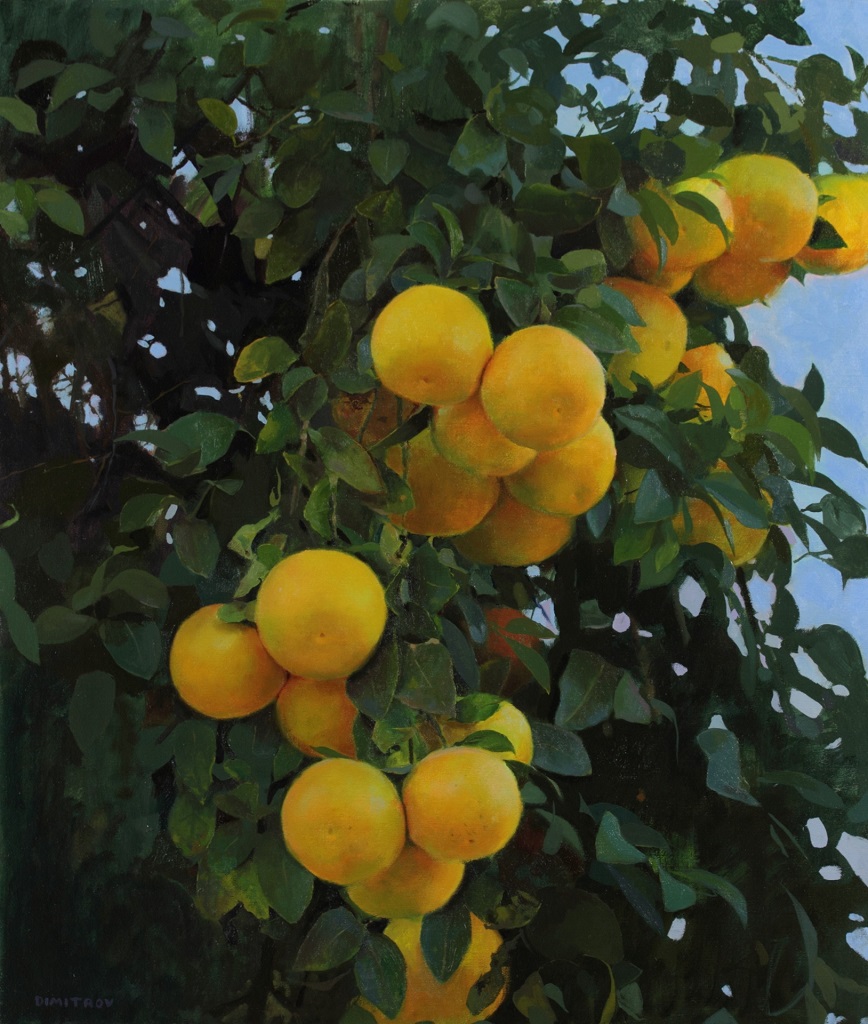 Grapefruits, Oil on canvas 24"x28"