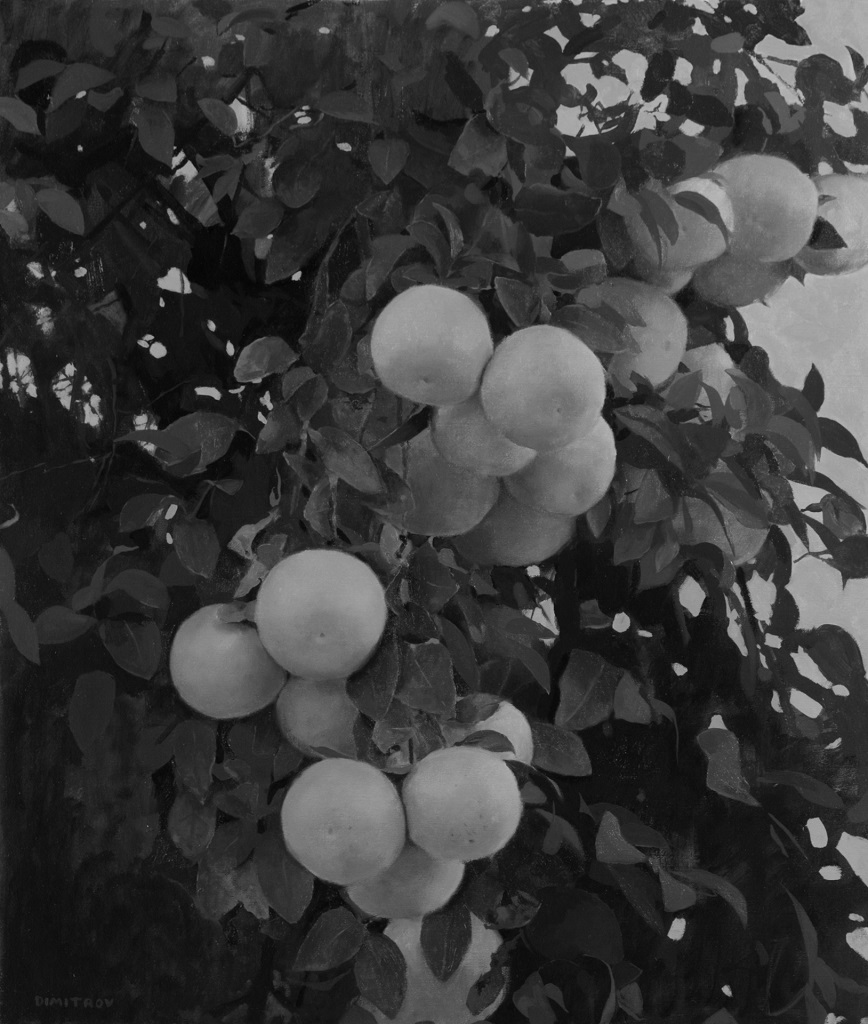 This complex scene, separates into only 3 main values - the light of the fruits and the sky, the mid-tones of the leaves, and the darks of the deep shadows. 