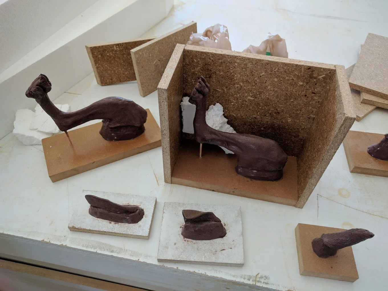 The back legs, as well as ears and tail were also cut. 