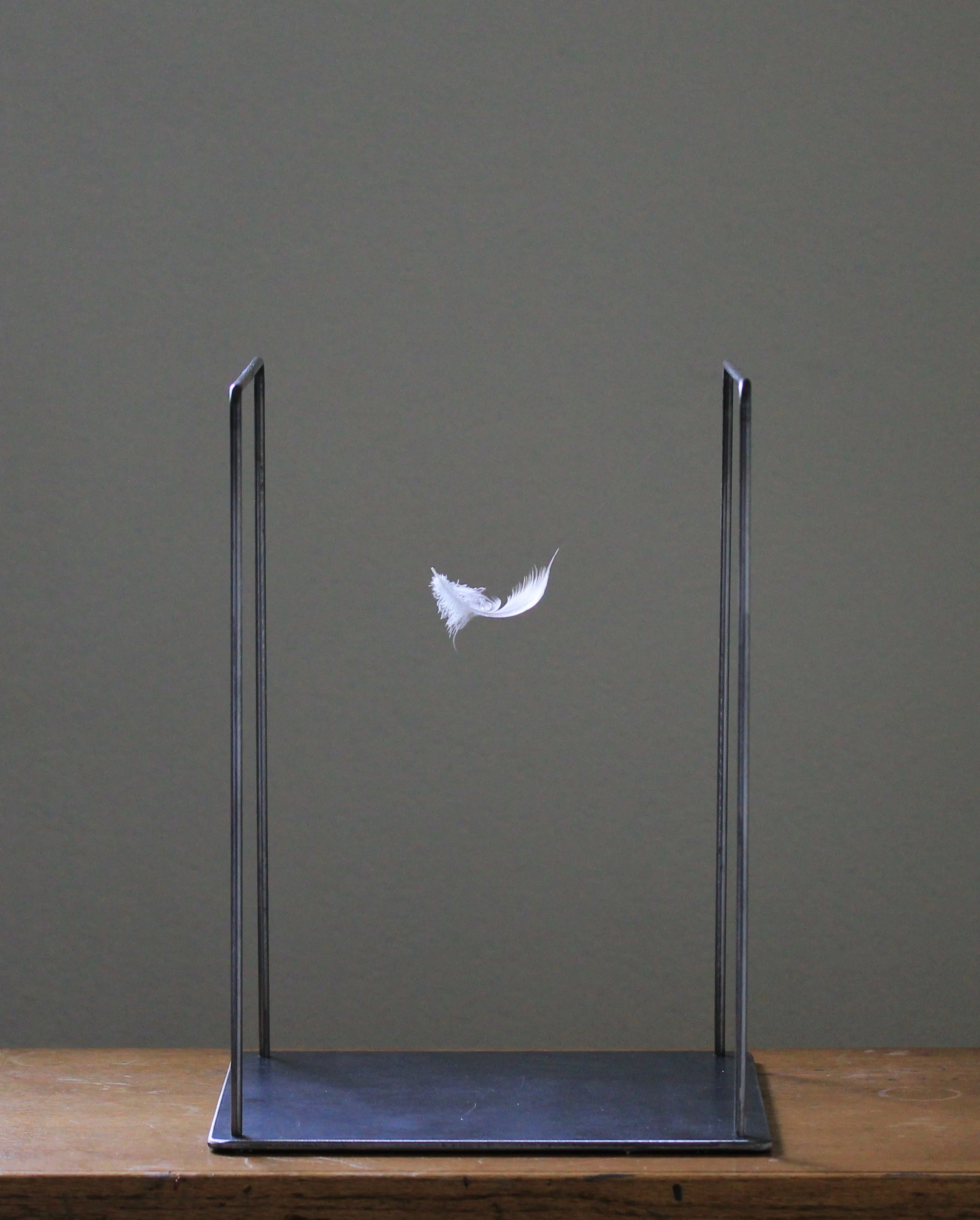 Feather
