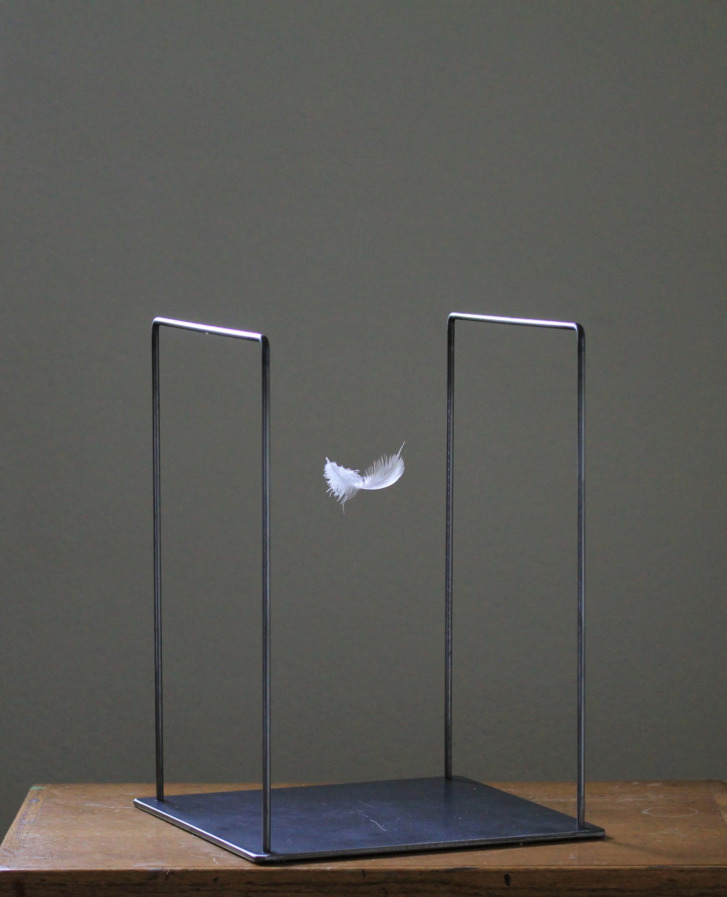 Feather