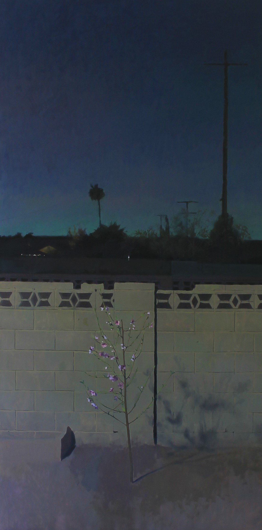 Peach Blossoms