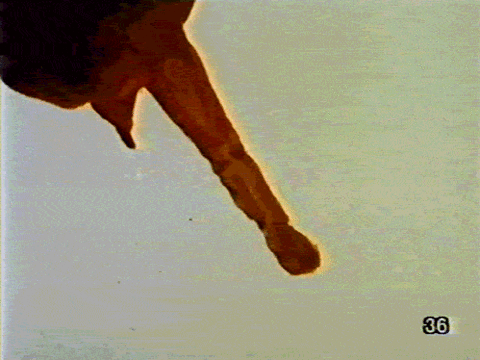 2db581fb711f3d6c263d7051ab0d5482e34f7c84_m.gif