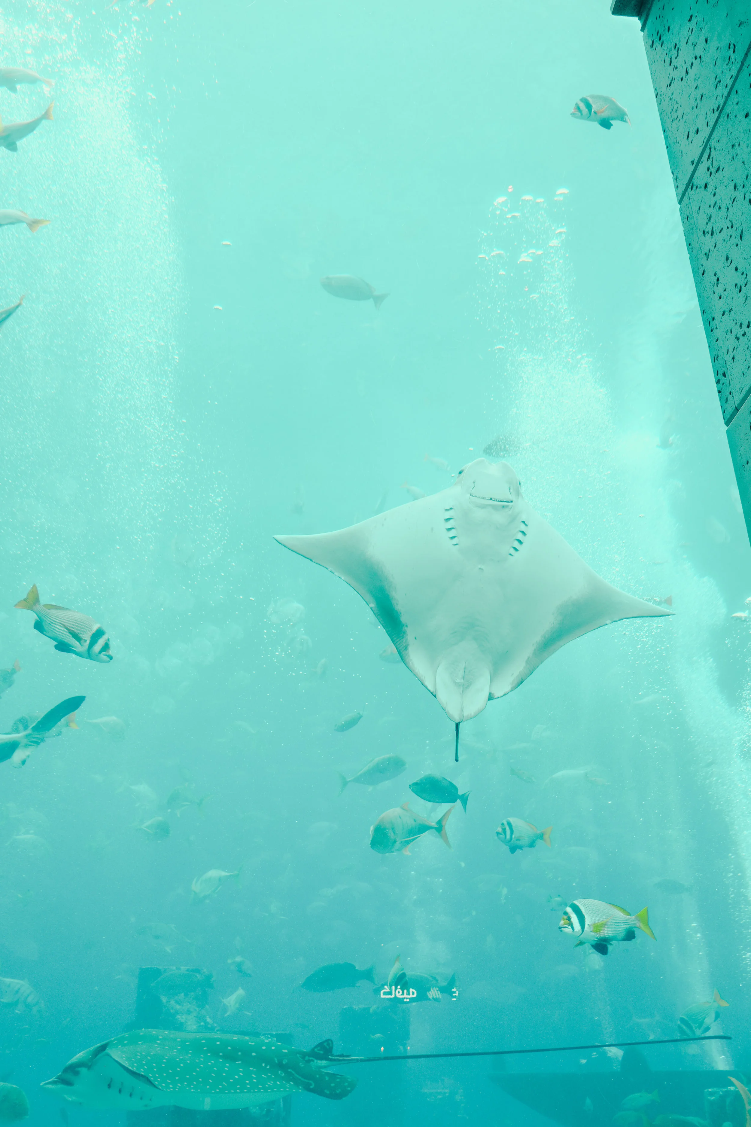 DSCF8173.jpg