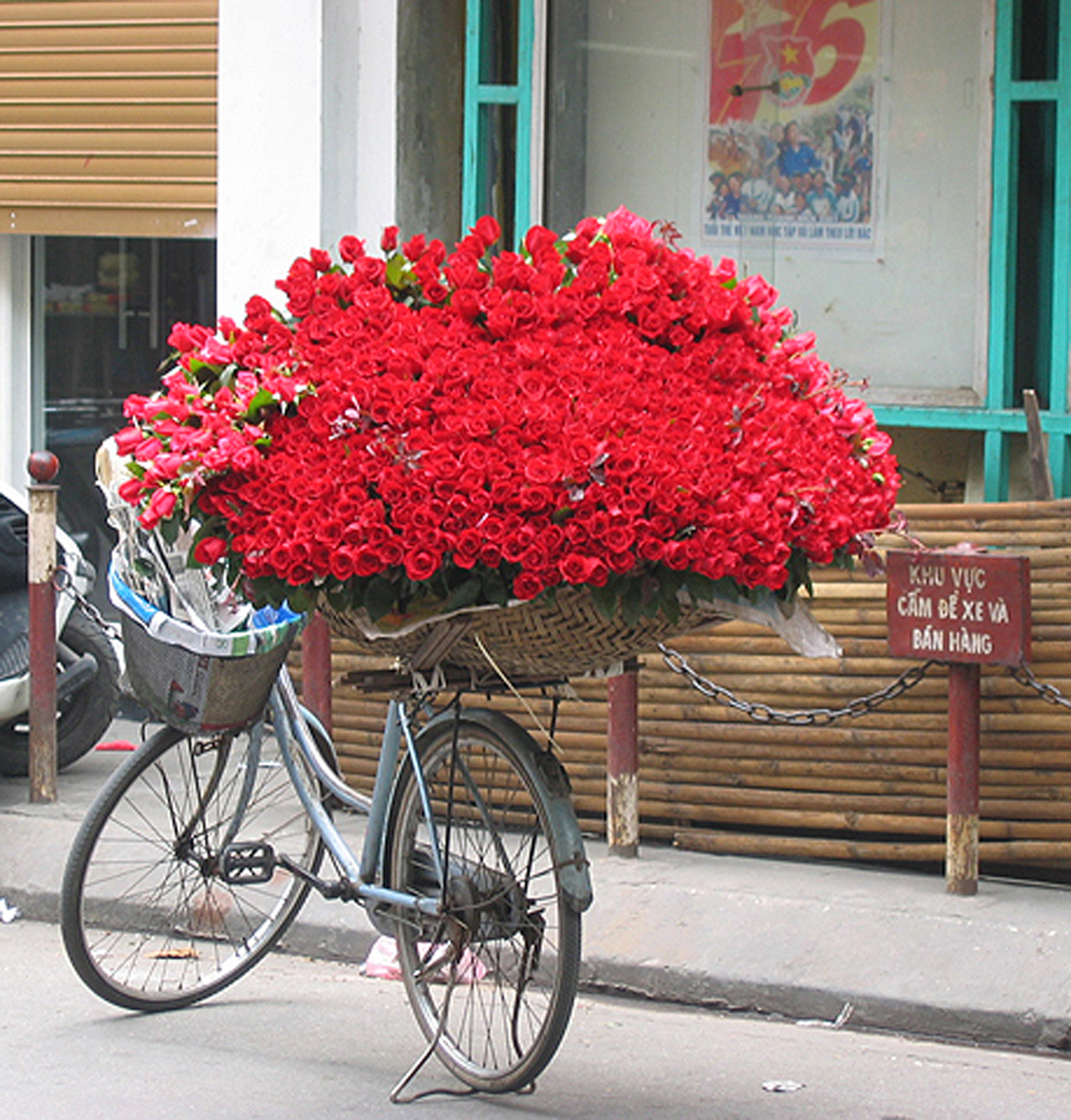 Hanoi Rose bike.jpg