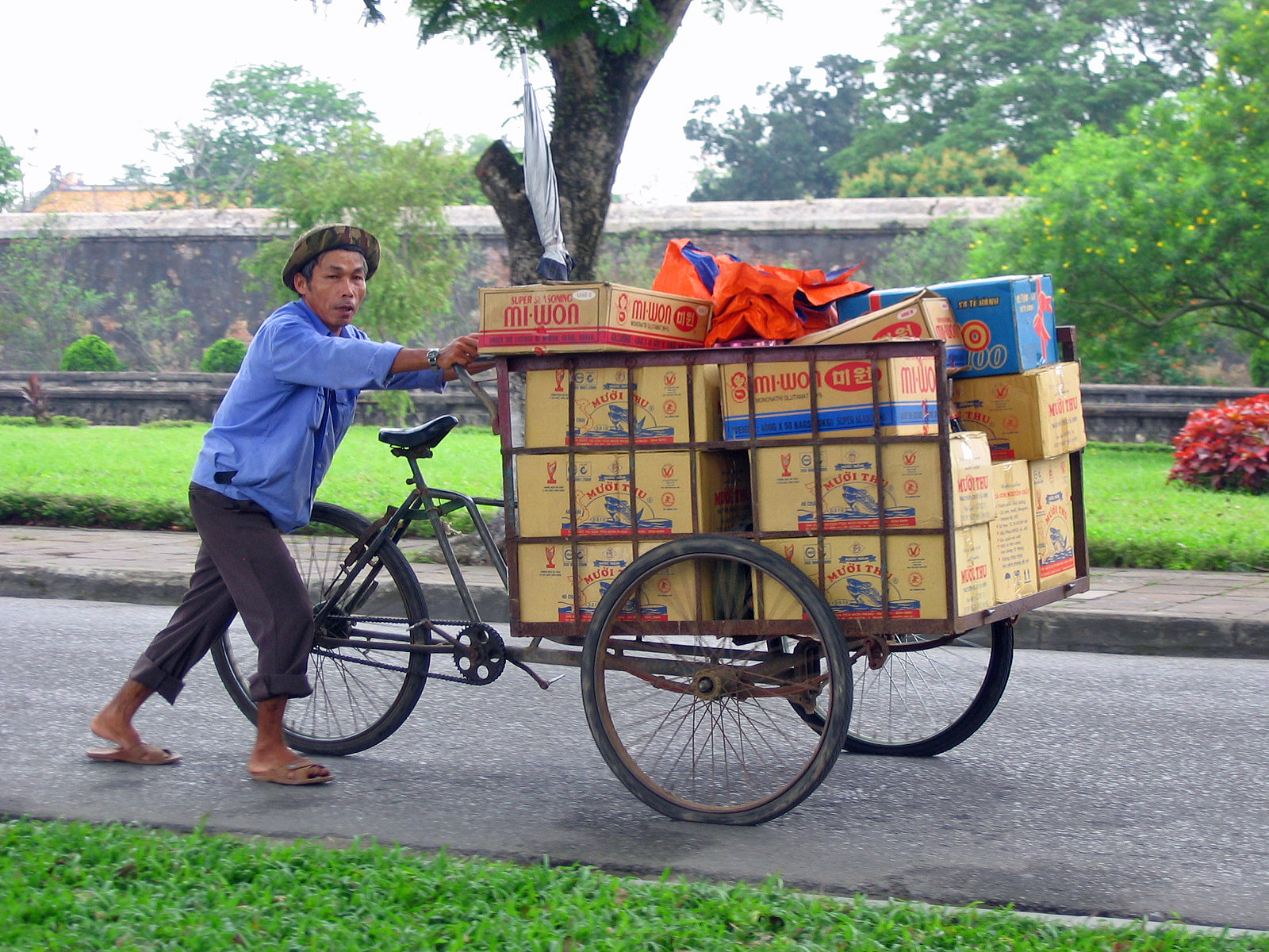 Hue bike of boxes.jpg