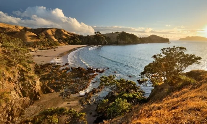great barrier island.jpg