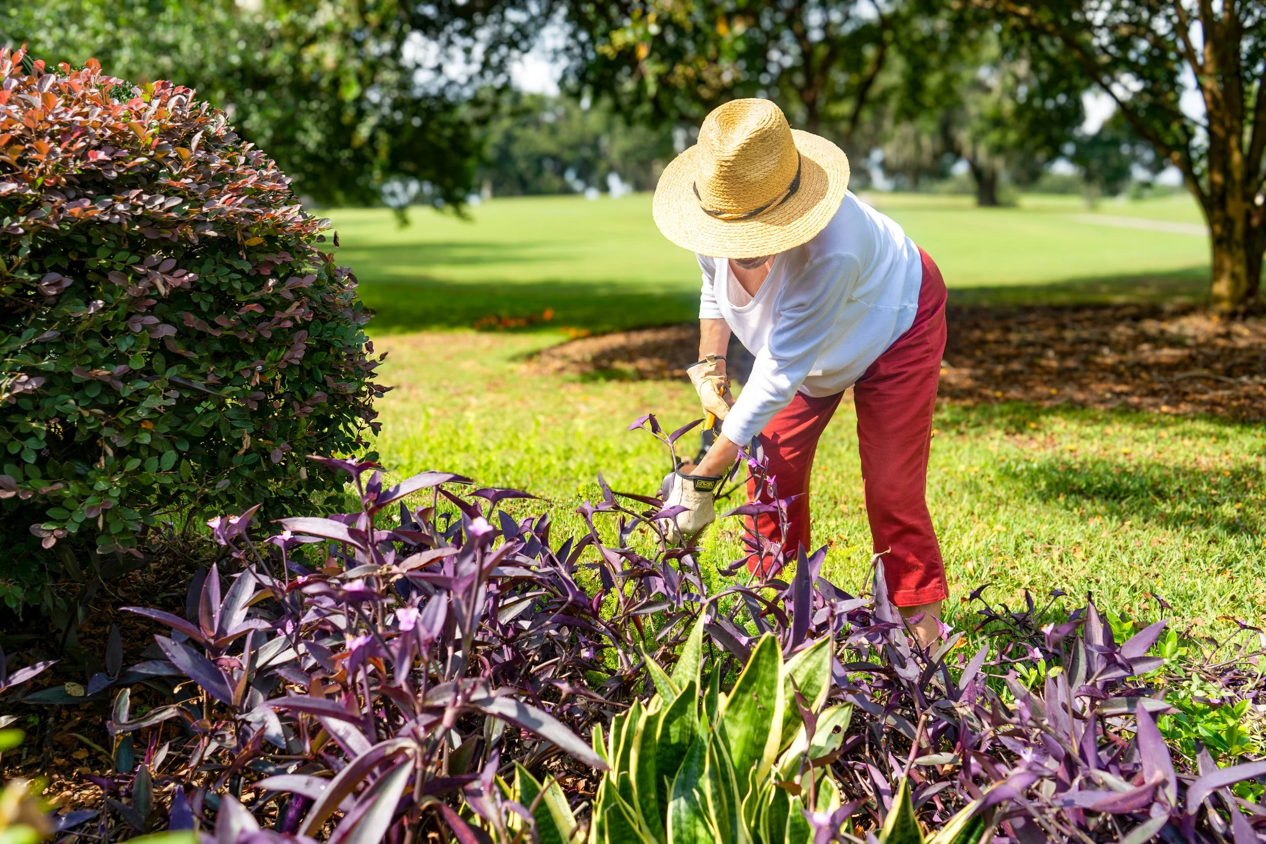 Gardening-9.jpg