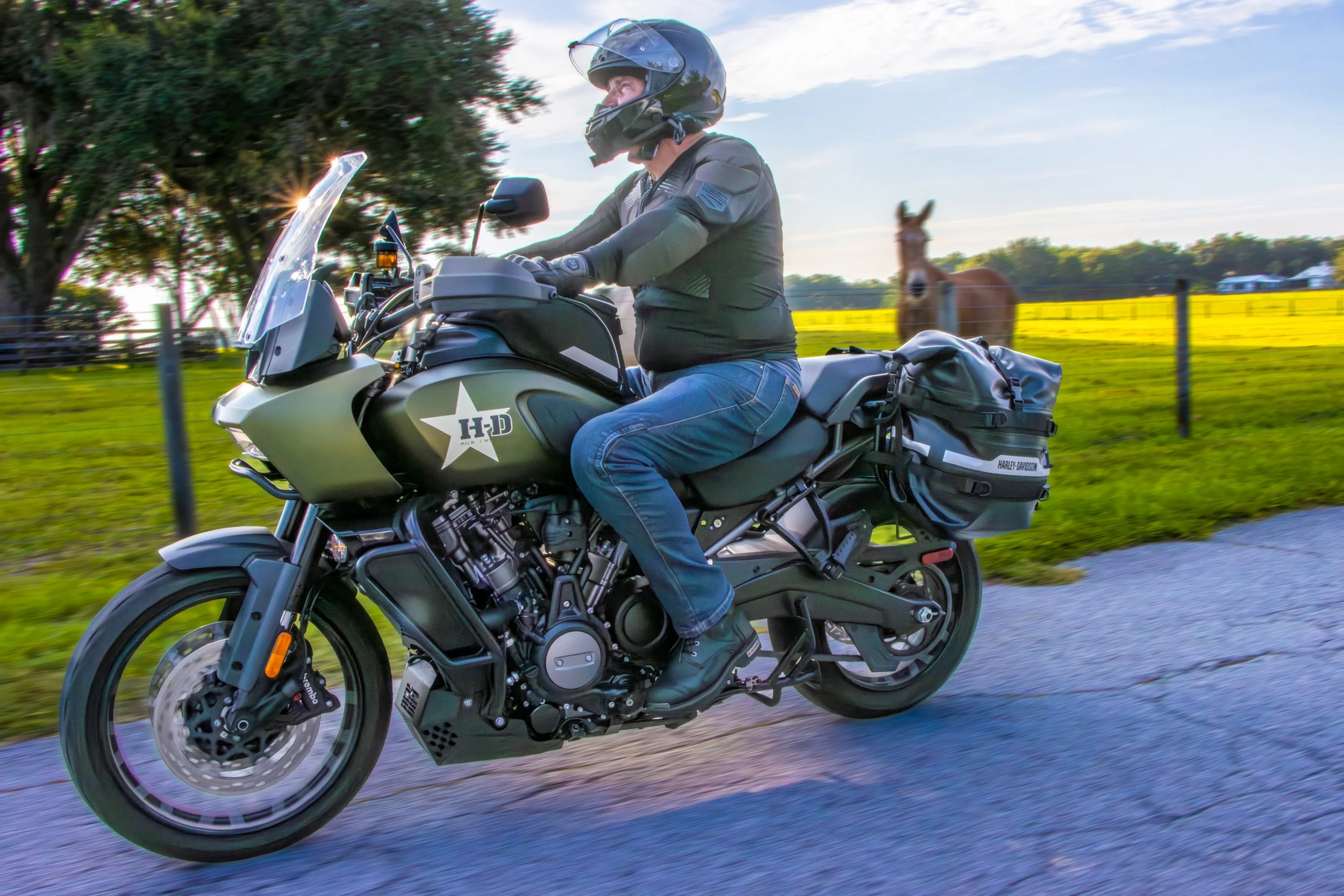 Motorcycle-3.jpg